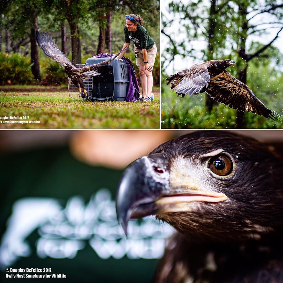 18953228_10154412241812121_6623232608253122409_o